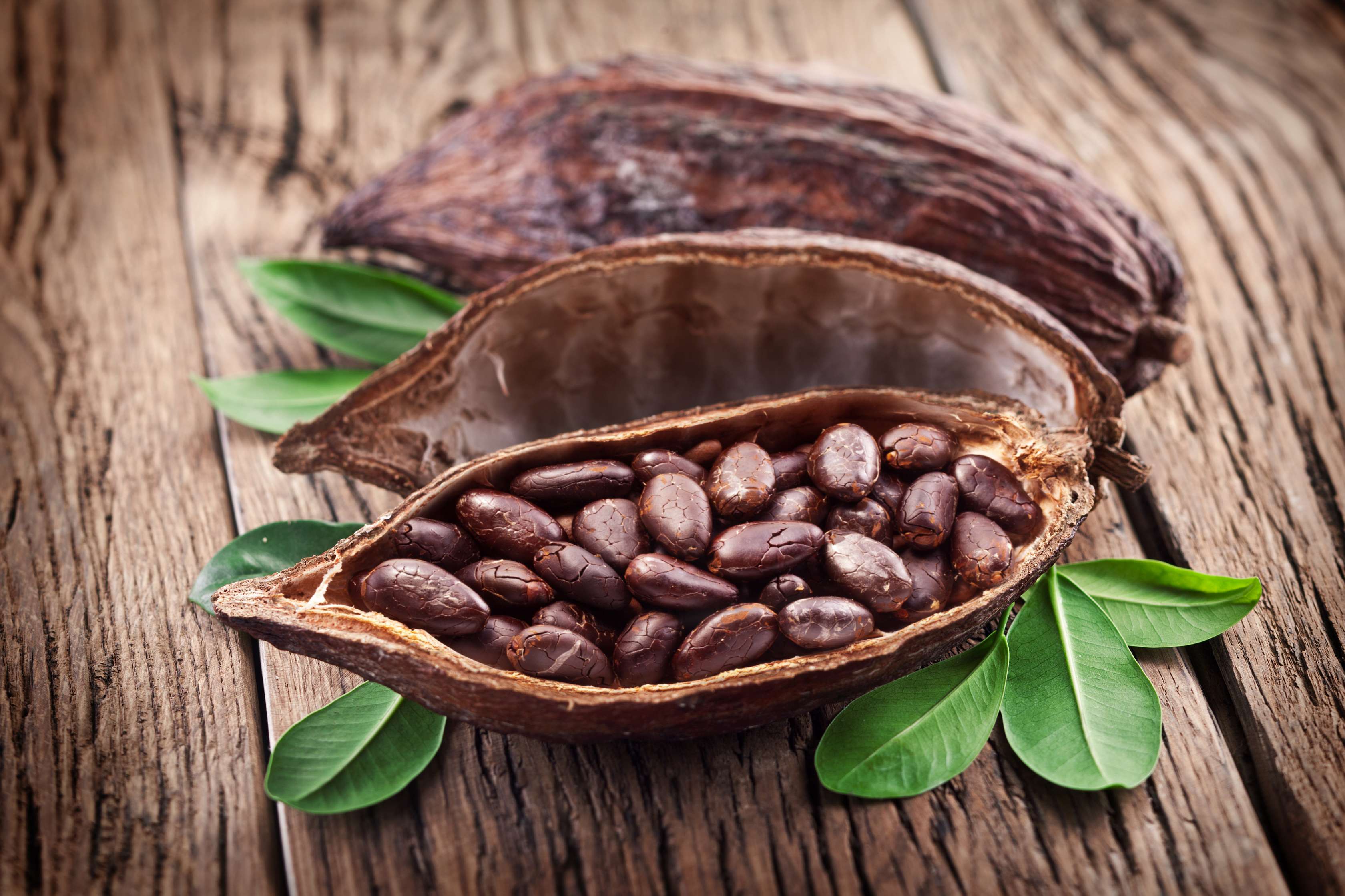 Zeremonieller Kakao im Cacao Magic Becher